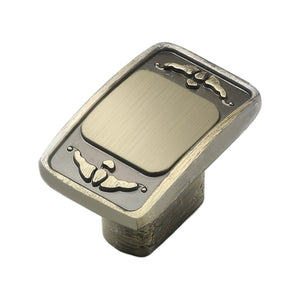 Bronze-colored rectangular cabinet knob with an inset panel and leaf detail, variant #10.
