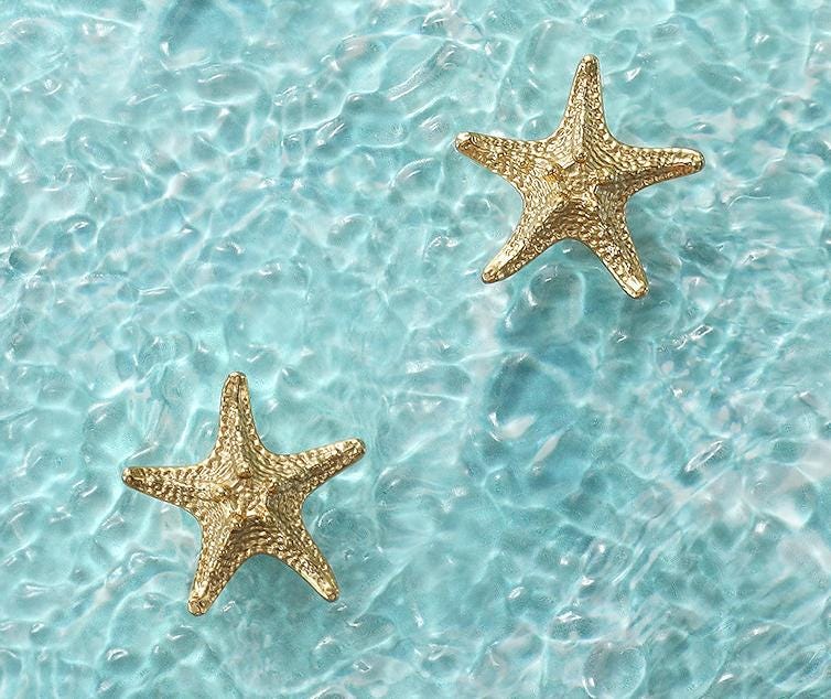 Solid Brass Starfish Drawer Knob 20 40 mm 3/4" 1 5/8" Gold Color Kitchen Door Drawer Pull Furniture Hardware Wholesale
