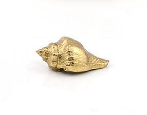 Solid Brass Shell Drawer Knob 21 47mm 7/8" 1 7/8" Gold Color Kitchen Door Drawer Pull Furniture Hardware Wholesale