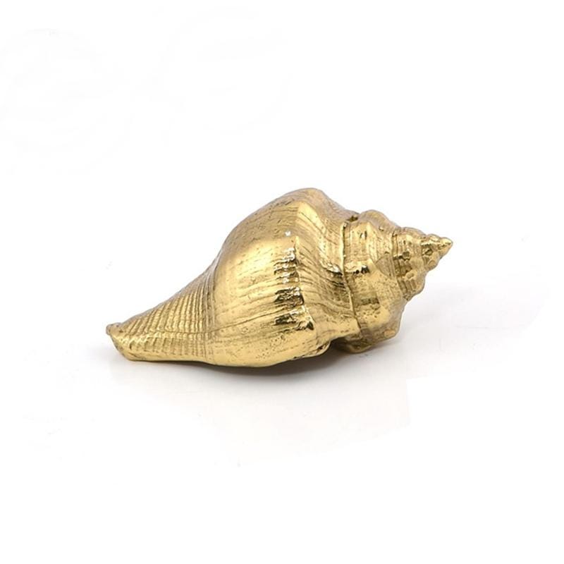 Solid Brass Shell Drawer Knob 21 47mm 7/8" 1 7/8" Gold Color Kitchen Door Drawer Pull Furniture Hardware Wholesale