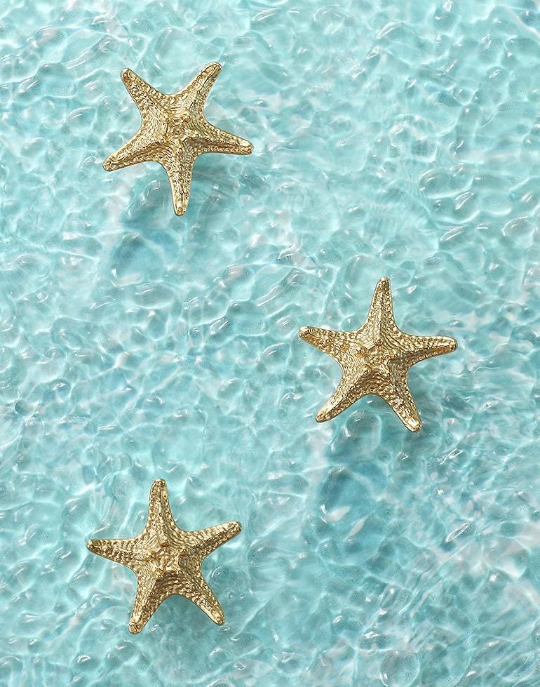 Solid Brass Starfish Drawer Knob 20 40 mm 3/4" 1 5/8" Gold Color Kitchen Door Drawer Pull Furniture Hardware Wholesale